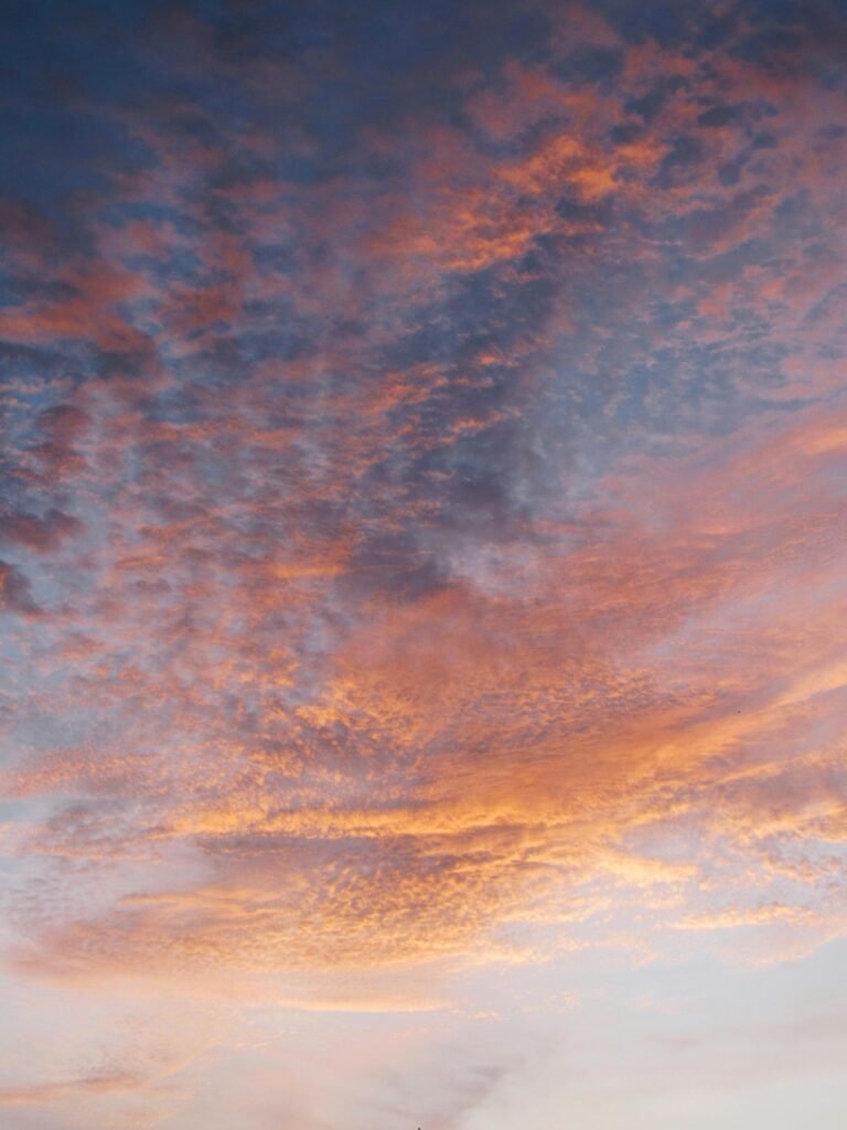 Best Slim Fit T-Shirts for Men in India (2025 Comfort Guide)